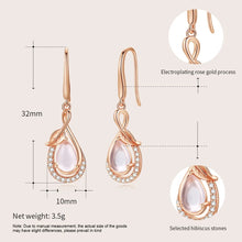 Load image into Gallery viewer, Hibiscus Stone Dangling Rose Gold Silver Earrings