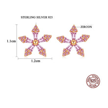 Load image into Gallery viewer, Starry Pink Zircon Sparkling  Stud Silver Earrings