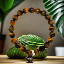 Load image into Gallery viewer, Tiger eye stone flat silver beads bracelet 8mm displayed on green leaf, botanical styled shot
