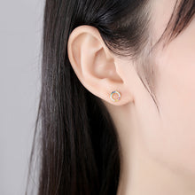 Load image into Gallery viewer, Mini Circle Rainbow Zircon Studded Silver Earrings
